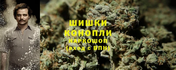PSILOCYBIN Алексеевка