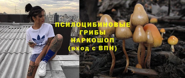 PSILOCYBIN Алексеевка